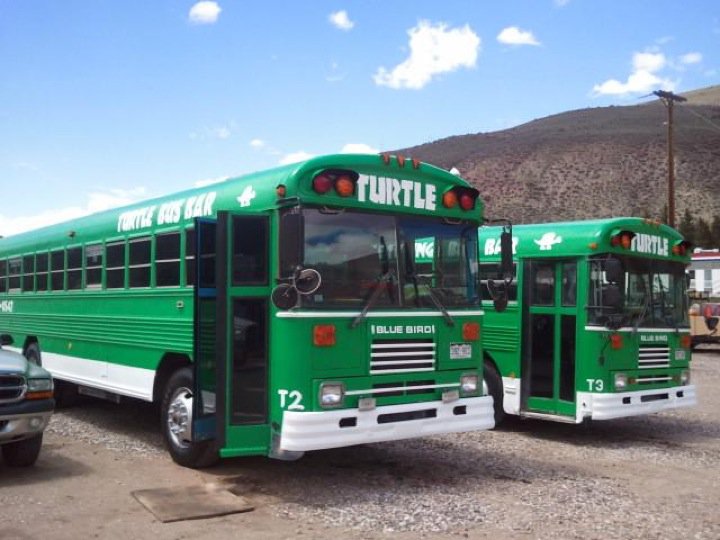 turtlebus